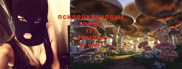 винт Бронницы