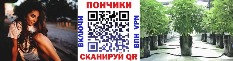 Канабис ГИДРОПОН  мега ССЫЛКА  Гремячинск 